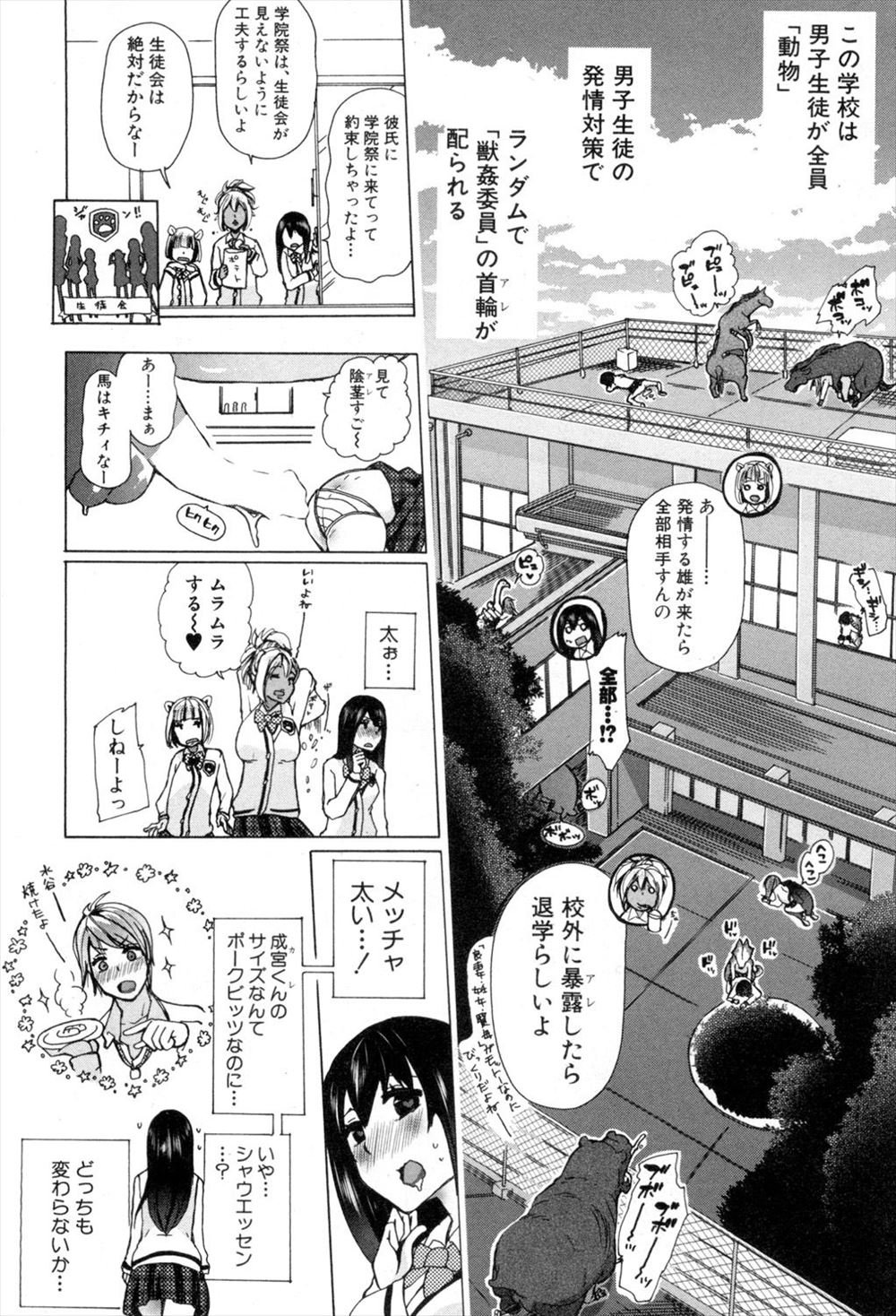 【エロ漫画】 オナ禁 童貞